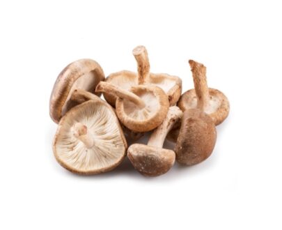 Funghi shiitake freschi