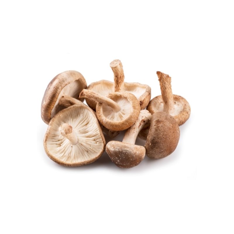 Funghi shiitake freschi