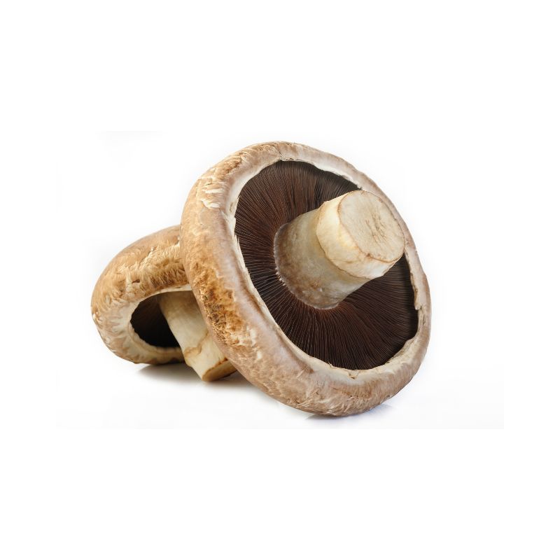 Funghi Portobello freschi